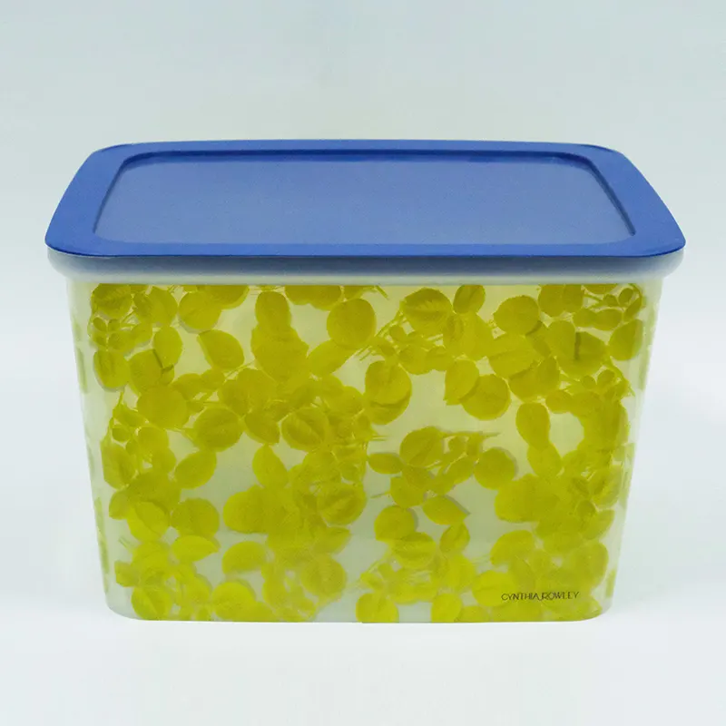 IML Label Injection Molding for PP Storage Box