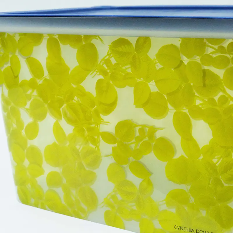IML Label Injection Molding for PP Storage Box